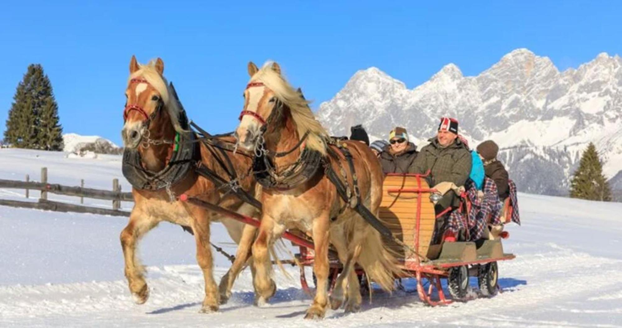 Appartements Naturnah Schladming Kültér fotó