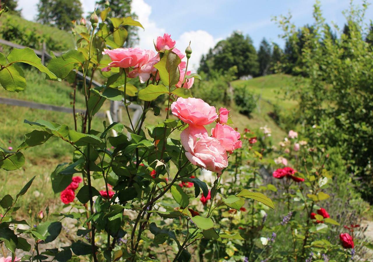 Appartements Naturnah Schladming Kültér fotó