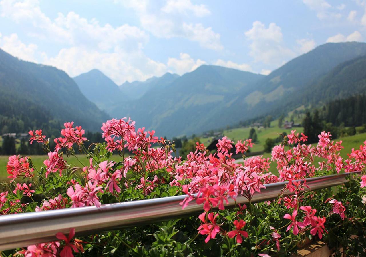 Appartements Naturnah Schladming Kültér fotó